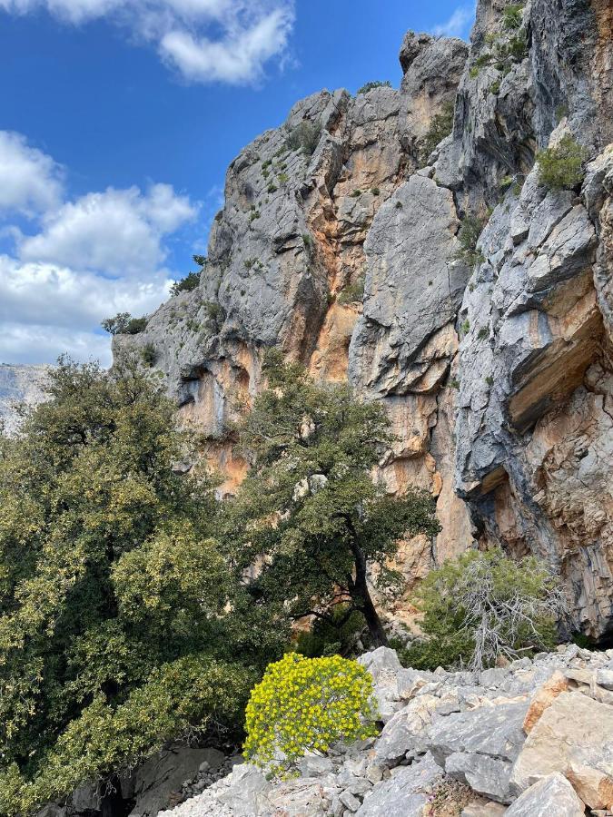 Ferienwohnung Casa Vacanze Sa Piazza Dorgali Exterior foto